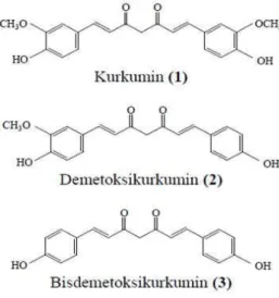 Gambar 10 Struktur kimia kurkuminoid (Ravindran et al. 2006) 
