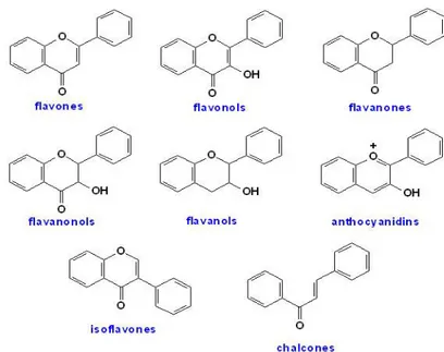 Gambar 11 Struktur kimia flavonoid (Surai 2003) 