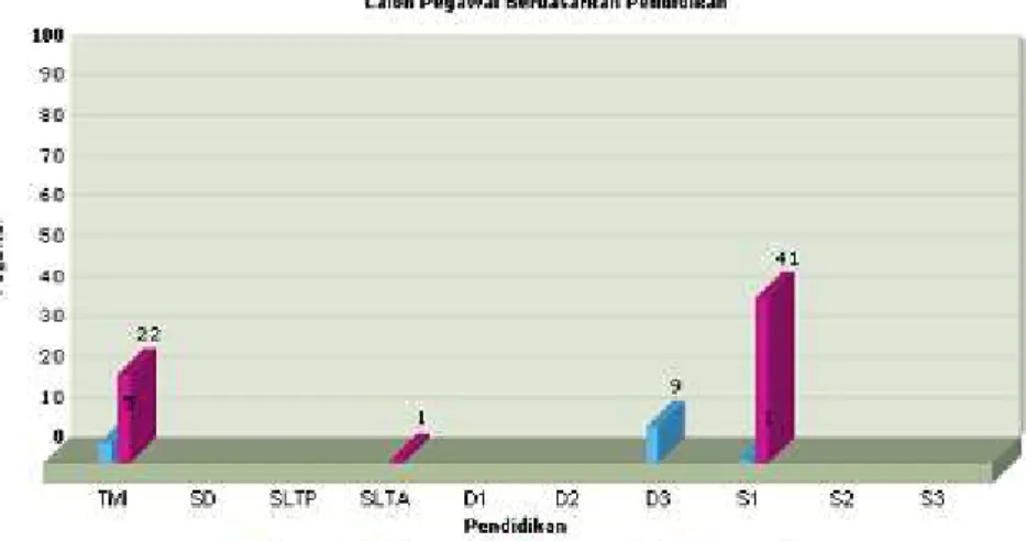 Gambar 30   Rekapitulasi Data Berdasarkan Pendidikan – Calon Pegawai 