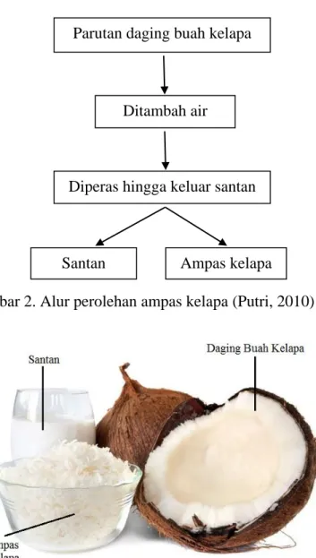 Gambar 2. Alur perolehan ampas kelapa (Putri, 2010) 