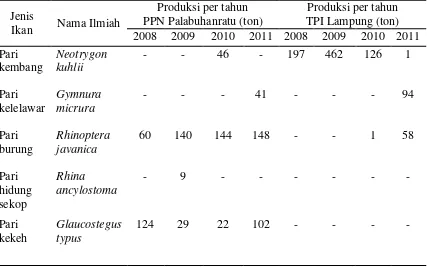 Tabel 4 Ukuran rata-rata spesies pari di PPN Palabuhanratu dan TPI Lampung 