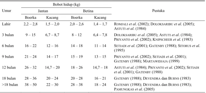 Tabel 2. Bobot hidup kambing Boerka dan Kacang pada berbagai umur  Bobot hidup (kg) 