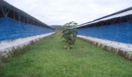 Gambar  1.  Jarak  antar kandang 