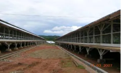 Gambar  9.  Dinding kandang bahan dari bambu 