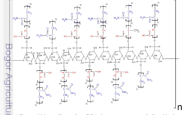 Gambar 1 Ilustrasi hipotetik  struktur PSA dengan monomer akrilamida dan asam 
