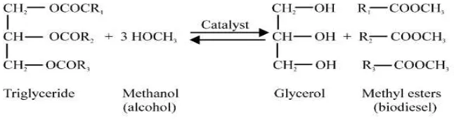 Figure 2.2: General equation of transesterification (Nurfitri, I. et al., 2013) 