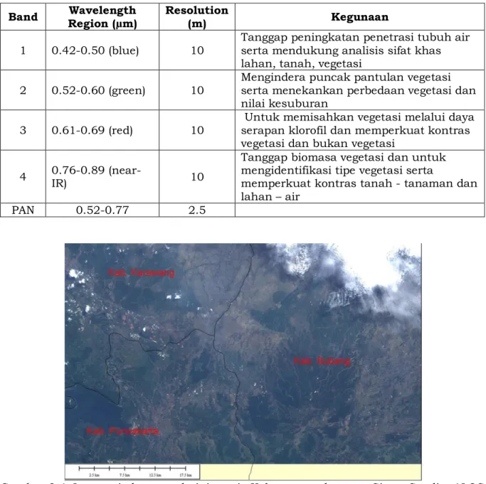 Gambar 2-1: Integrasi  batas  administrasi  Kabupaten  dengan  Citra  Satelit  ALOS   (kombinasi band321) tanggal  10 Mei 2007 