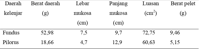 Tabel 2. Perbandingan Berat dan Ukuran Rata-rata Daerah Kelenjar Fundus dan Pilorus Abomasum Domba Lokal Umur Dewasa Muda  