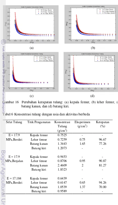 Gambar 16  Perubahan kerapatan tulang: (a) kepala femur, (b) leher femur, (c) 