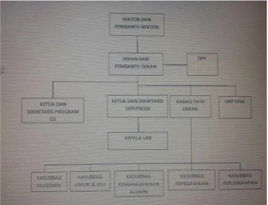 Gambar 3 : Struktur Organisasi FISIP USU  Sumber : Borang FISIP USU 