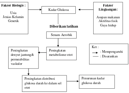 Gambar 1. Kerangka Teori (Guyton, 2006, Tortora, 2011, Power, 2007). 