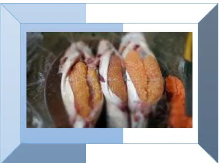 GAMBAR HEWAN CICAK DAN  NYAMUK 