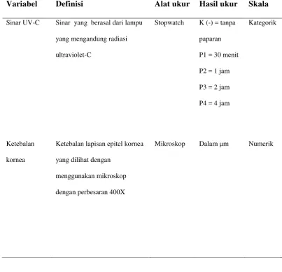 Tabel 2.Definisi Operasional 