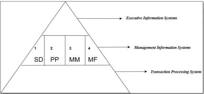 Gambar 3. Piramida Sistem Informasi 