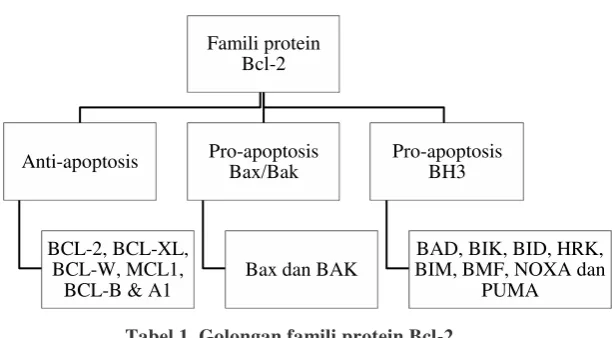 Tabel 1. Golongan famili protein Bcl-2 