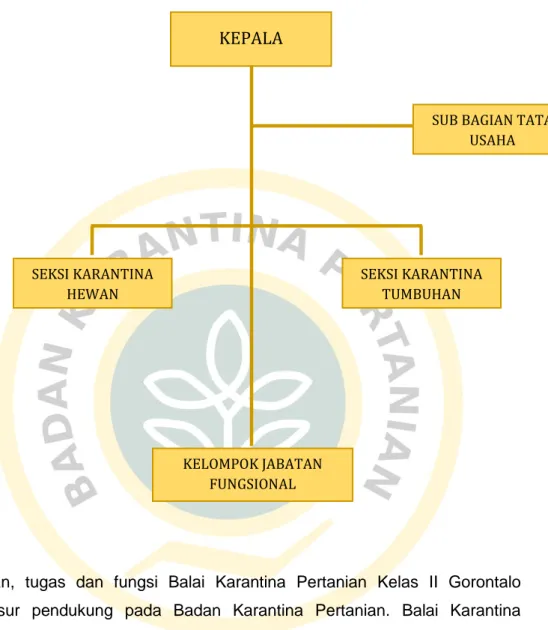 Gambar 1. Struktur Organisasi Balai Karantina Pertanian Kelas II Gorontalo 