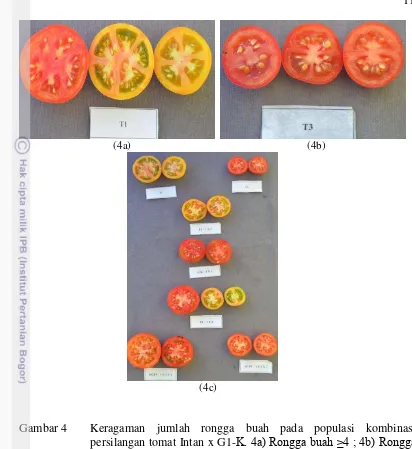 Gambar 4   Keragaman jumlah rongga buah pada populasi kombinasi 