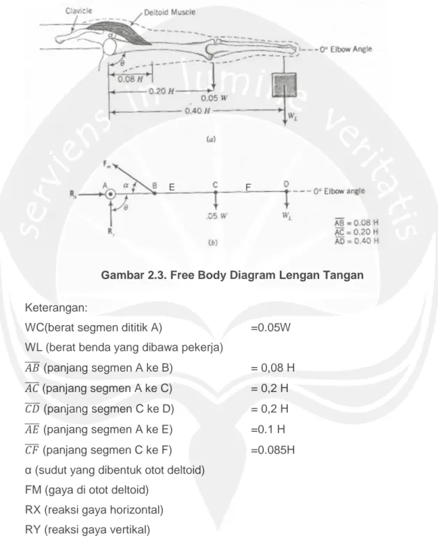 Gambar 2.3. Free Body Diagram Lengan Tangan  
