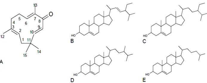 Gambar 2. Komponen utama dalam rimpang lempuyang emprit : (A) alpha humulene, (B) humulene oxide, (C) linalool, (D) beta-eudesmol, (E) beta-selinen, (F) 12-oxabicyclo (Wahyuni & Bermawie, 2010)  