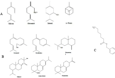 Gambar 3. Kandungan kimia lempuyang emprit : (A) monoterpen, (B) sesquiterpen,  (C) benzil heptanoat (Sukari et al., 2008)  