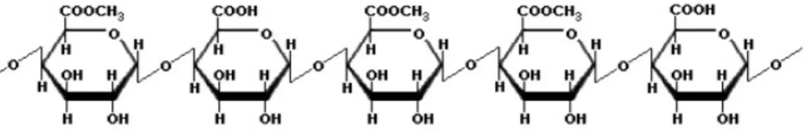 Gambar 4. Struktur Kimia Asam Poligalakturonat