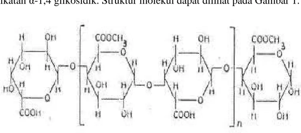 Gambar 1. Struktur molekul pektin 
