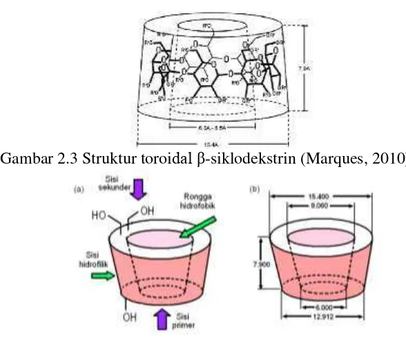 Gambar 2.3 Struktur toroi dal �-siklodekstrin (Marques, 2010) 