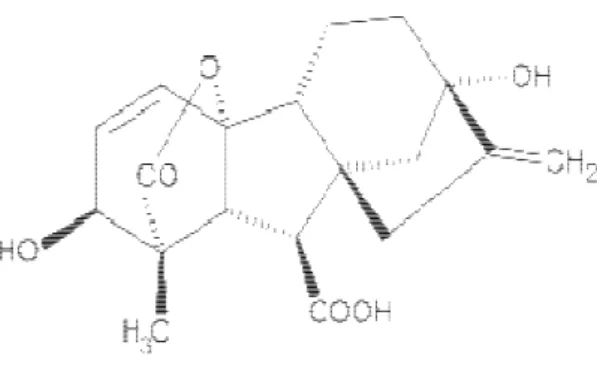 Gambar 8. Struktur molekul giberelin  Asam Absisat (ABA) 