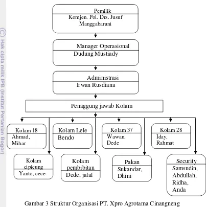 Gambar 3 Struktur Organisasi PT. Xpro Agrotama Cinangneng 