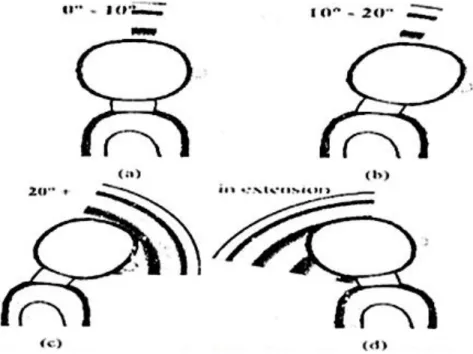 Gambar 2.1.6. Range pergerakan leher yang diputar atau dibengkokkan  (a) postur alamiah, (b)  postur leher diputar dan (c) postur leher dibengkokkan 