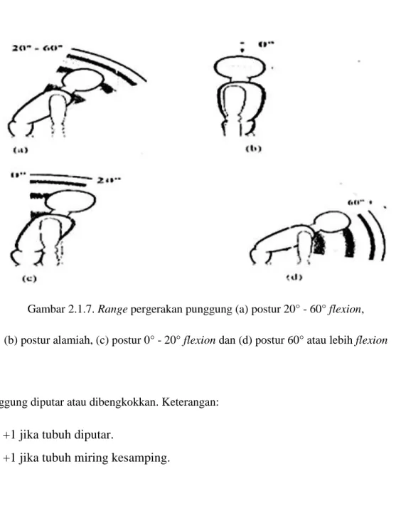 Gambar 2.1.7. Range pergerakan punggung (a) postur 20° - 60° flexion,  (b) postur alamiah, (c) postur 0° - 20° flexion dan (d) postur 60° atau lebih flexion 