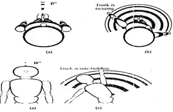 Gambar 2.1.8. Range pergerakan punggung yang diputar atau dibengkokkan (a) postur alamiah, (b)  postur punggung diputar dan (c) postur dibengkokkan 