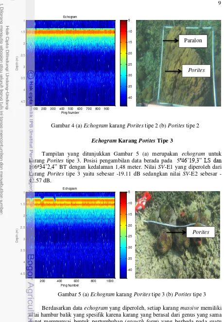 Gambar 4 (a) Echogram karang Porites tipe 2 (b) Porites tipe 2 