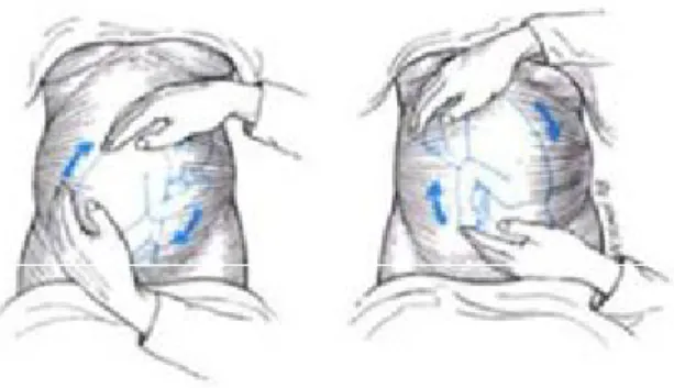 Gambar 2.3 Prosedur Versi Luar   Sumber : Cunningham (2009) 2) Posisi knee chest atau dada-lutut