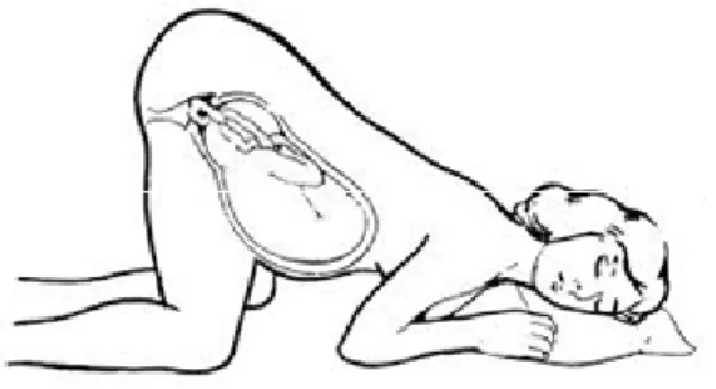 Gambar 2.4 Posisi knee chest Sumber : Prawirohardjo (2011)