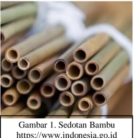 Gambar 1. Sedotan Bambu  https://www.indonesia.go.id 