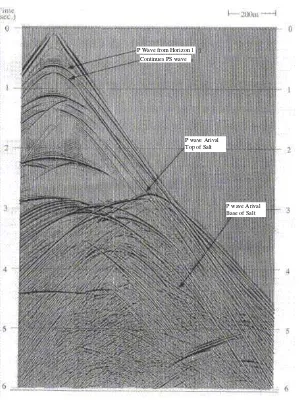 Gambar 4. Rekaman data seismik 