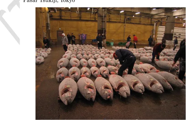 Gambar  2.1  Suasana  pengecekan  kualitas  daging  ikan  tuna  di  Pasar Tsukiji, Tokyo 