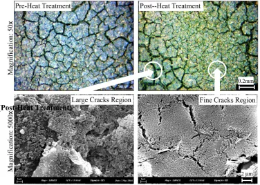 Fig. 2  Optical Image (magnification of 50×): Surface microstructures of top (final) layer of graphite PVDF/PVDF/ graphite-PVDF composite film before and after heat treatment