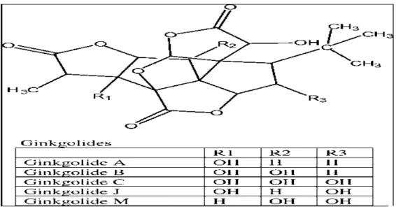 Gambar 2.8 : Structure of ginkgolides 
