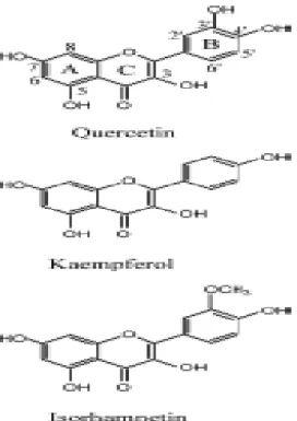 Gambar 2.10: Structure of Quercetin, Kaempferol &amp; Isorhamnetin 