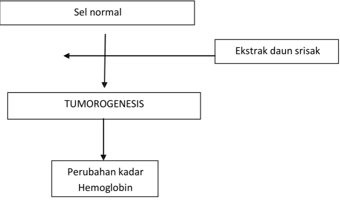 Gambar 2. Kerangka teori