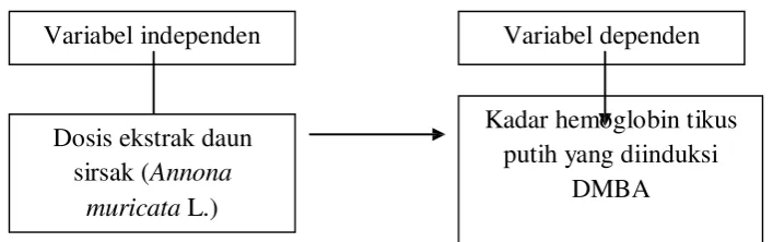 Gambar 2. Kerangka Konsep