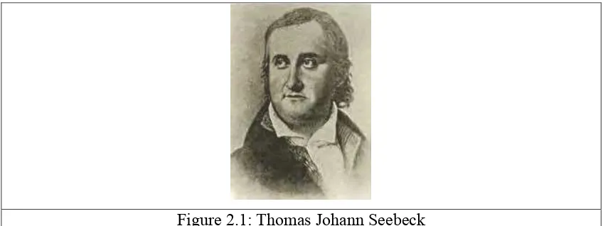 Figure 2.1: Thomas Johann Seebeck 