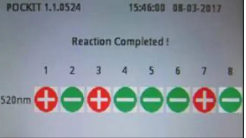 Gambar 1. Hasil  deteksi VNN  dengan  metode IQ Plus   terhadap  sampel  uji  dari hatcheri  dan  pembudidaya  KJA  (1, 3= sampel uji yang terinfeksi VNN;