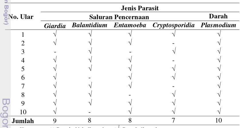 Tabel 1  Macam-macam parasit yang menyerang Ptyas corros dan jumlah kejadiannya 
