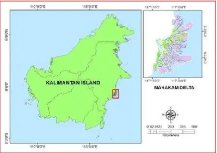 Figure 1. Study area of the Mahakam Delta, EastKalimantan Province, Indonesia