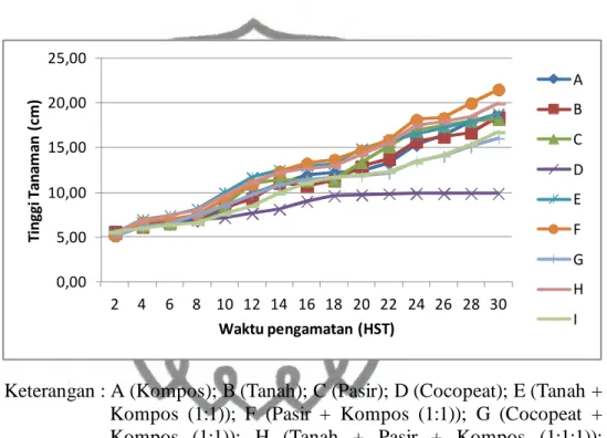 Gambar 1. Pola pertumbuhan bawang merah pada beberapa macam media  Berdasarkan  gambar  1,  dapat  dilihat  bahwa  pertumbuhan  bawang  merah  meningkat  setiap  harinya