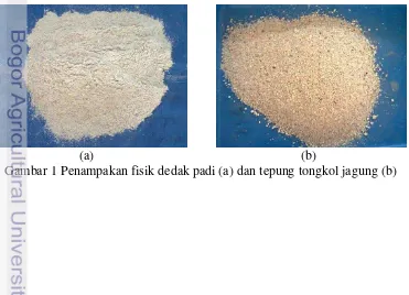 Gambar 1 Penampakan fisik dedak padi (a) dan tepung tongkol jagung (b) 