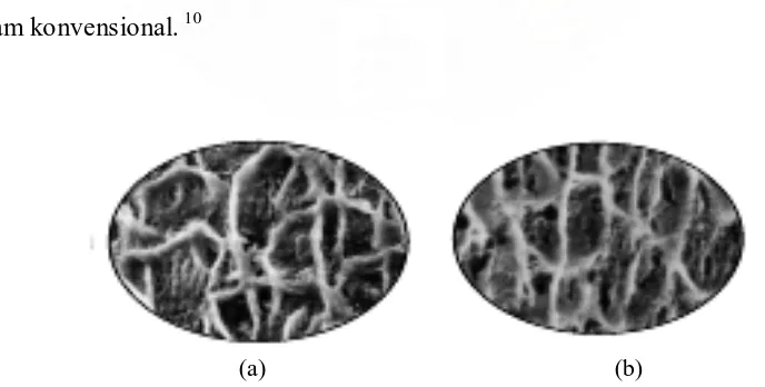 Gambar 2.6. Gambaran enamel yang dietsa dengan a) 37% asam fosfor,                                           b) Transbond Plus Self-Etching Primer